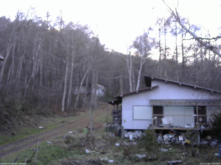 長野県菅平高原 ゆたか山荘 西側(坂上) 2025/11/28 15:00