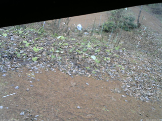 長野県菅平高原 ゆたか山荘 駐車場 2025/11/28 13:30