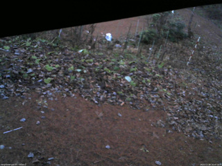 長野県菅平高原 ゆたか山荘 駐車場 2025/11/28 16:45