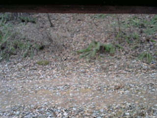 長野県菅平高原 ゆたか山荘 南側 2025/11/29 06:45