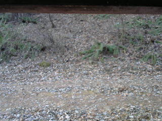 長野県菅平高原 ゆたか山荘 南側 2025/11/29 07:15