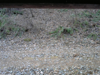 長野県菅平高原 ゆたか山荘 南側 2025/11/29 07:30