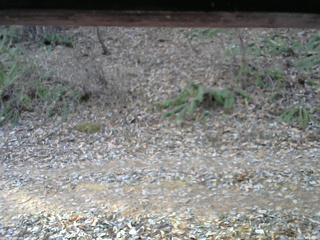 長野県菅平高原 ゆたか山荘 南側 2025/11/29 08:00