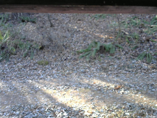 長野県菅平高原 ゆたか山荘 南側 2025/11/29 08:45