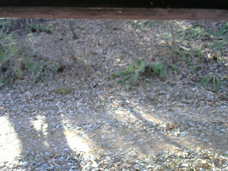 長野県菅平高原 ゆたか山荘 南側 2025/11/29 09:45