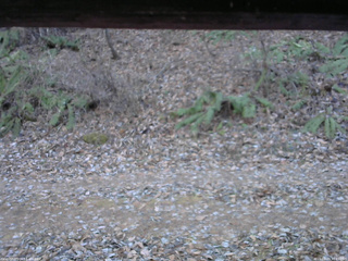 長野県菅平高原 ゆたか山荘 南側 2025/11/29 13:45