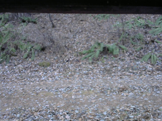 長野県菅平高原 ゆたか山荘 南側 2025/11/29 14:45