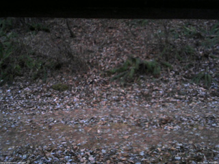 長野県菅平高原 ゆたか山荘 南側 2025/11/29 16:45