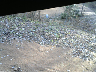 長野県菅平高原 ゆたか山荘 駐車場 2025/11/29 08:15