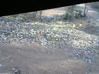 長野県菅平高原 ゆたか山荘 駐車場 2025/11/29 09:15