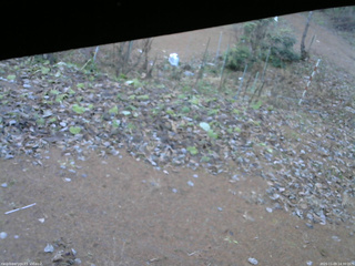 長野県菅平高原 ゆたか山荘 駐車場 2025/11/29 14:30