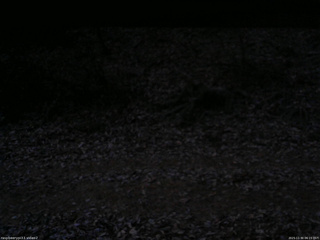 長野県菅平高原 ゆたか山荘 南側 2025/11/30 06:15