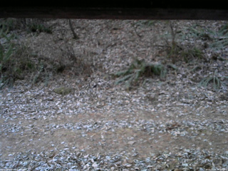 長野県菅平高原 ゆたか山荘 南側 2025/11/30 06:30