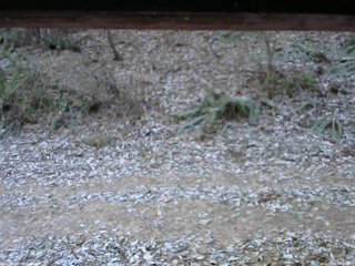 長野県菅平高原 ゆたか山荘 南側 2025/11/30 07:45