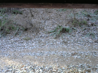 長野県菅平高原 ゆたか山荘 南側 2025/11/30 08:00