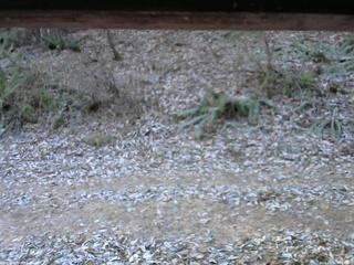 長野県菅平高原 ゆたか山荘 南側 2025/11/30 08:15