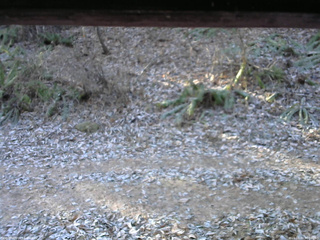 長野県菅平高原 ゆたか山荘 南側 2025/11/30 08:30