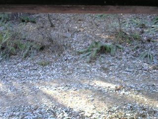 長野県菅平高原 ゆたか山荘 南側 2025/11/30 08:45