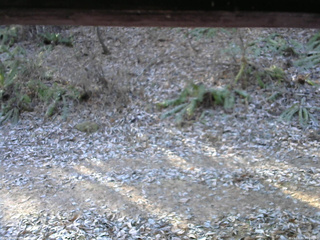 長野県菅平高原 ゆたか山荘 南側 2025/11/30 09:00