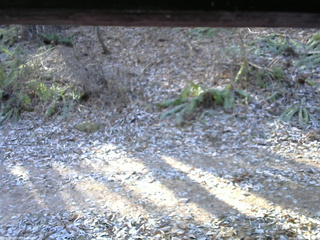 長野県菅平高原 ゆたか山荘 南側 2025/11/30 09:15