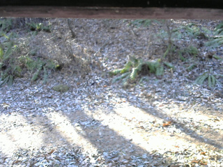 長野県菅平高原 ゆたか山荘 南側 2025/11/30 09:30