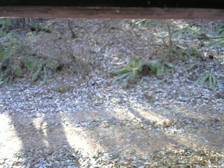 長野県菅平高原 ゆたか山荘 南側 2025/11/30 09:45