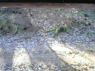 長野県菅平高原 ゆたか山荘 南側 2025/11/30 10:00