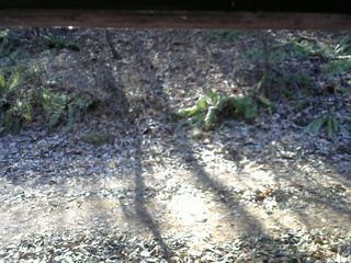 長野県菅平高原 ゆたか山荘 南側 2025/11/30 10:30