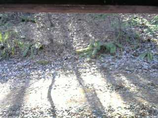 長野県菅平高原 ゆたか山荘 南側 2025/11/30 10:45