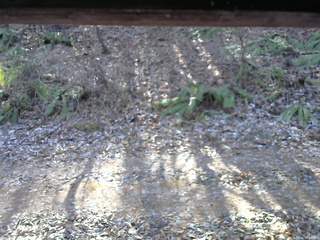 長野県菅平高原 ゆたか山荘 南側 2025/11/30 11:00