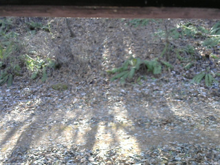 長野県菅平高原 ゆたか山荘 南側 2025/11/30 11:15