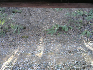 長野県菅平高原 ゆたか山荘 南側 2025/11/30 11:45