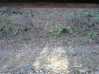 長野県菅平高原 ゆたか山荘 南側 2025/11/30 12:00