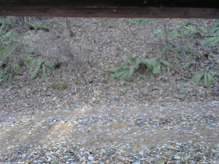 長野県菅平高原 ゆたか山荘 南側 2025/11/30 12:15