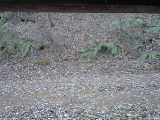 長野県菅平高原 ゆたか山荘 南側 2025/11/30 12:30