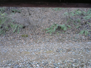 長野県菅平高原 ゆたか山荘 南側 2025/11/30 12:45