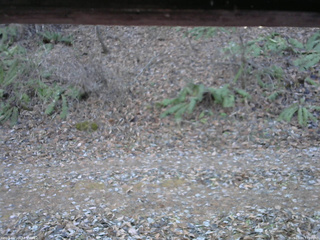 長野県菅平高原 ゆたか山荘 南側 2025/11/30 13:00