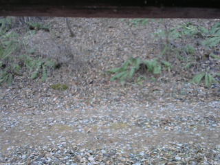 長野県菅平高原 ゆたか山荘 南側 2025/11/30 13:15