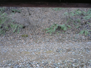 長野県菅平高原 ゆたか山荘 南側 2025/11/30 13:30