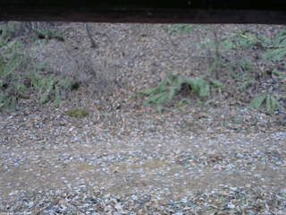 長野県菅平高原 ゆたか山荘 南側 2025/11/30 14:00