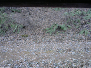 長野県菅平高原 ゆたか山荘 南側 2025/11/30 15:00