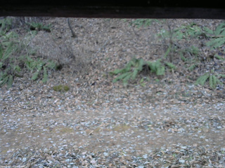 長野県菅平高原 ゆたか山荘 南側 2025/11/30 16:00