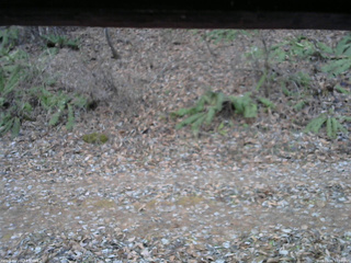 長野県菅平高原 ゆたか山荘 南側 2025/11/30 16:30