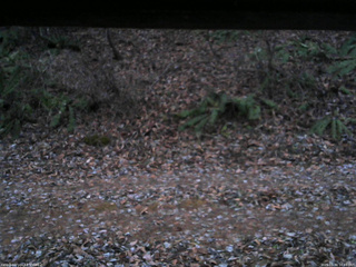 長野県菅平高原 ゆたか山荘 南側 2025/11/30 16:45