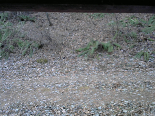 長野県菅平高原 ゆたか山荘 南側 2025/12/01 06:45