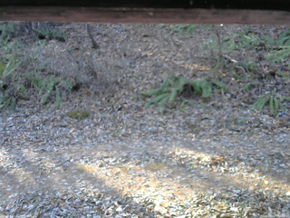 長野県菅平高原 ゆたか山荘 南側 2025/12/01 08:45