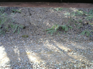 長野県菅平高原 ゆたか山荘 南側 2025/12/01 09:45