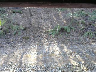 長野県菅平高原 ゆたか山荘 南側 2025/12/01 11:00