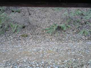 長野県菅平高原 ゆたか山荘 南側 2025/12/01 13:45