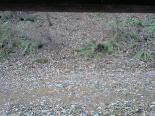 長野県菅平高原 ゆたか山荘 南側 2025/12/01 14:15